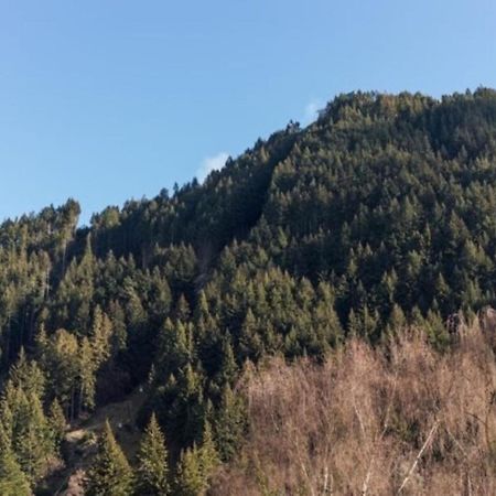 Mountain View City Apartment كوينستاون المظهر الخارجي الصورة